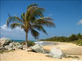 Punta Vaca Beach - VIEQUES